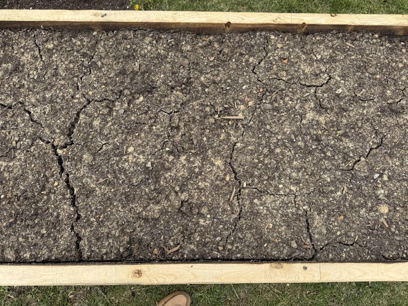 Prevent Crusting Before Seedlings Emerge Prevent Crusting Before Seedlings Emerge