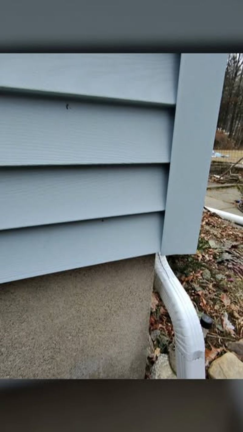 Prevent Indoor Rodents Without Poisoning Owls Prevent Indoor Rodents Without Poisoning Owls