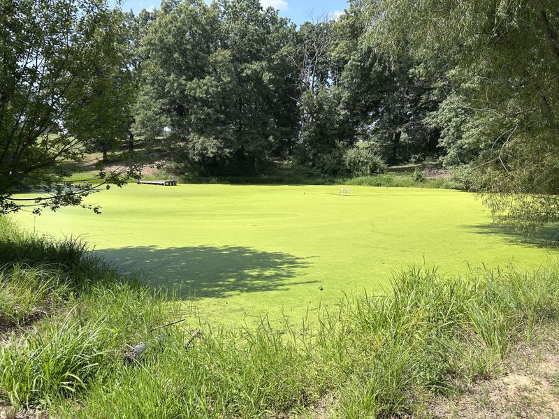 Prevent Ponding Runoff And Sprays