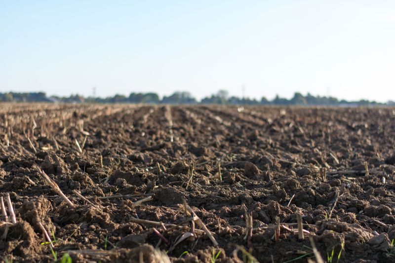 Preventing Soil Compaction Going Forward