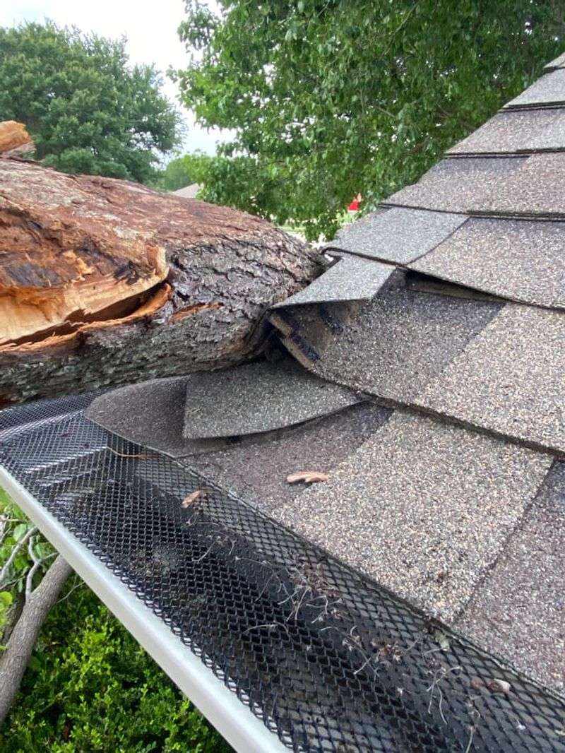 Prior Warnings Matter More Than Blame