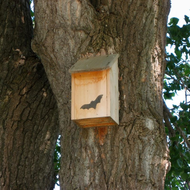 Proper Placement Matters More Than Just Hanging A Box Proper Placement Matters More Than Just Hanging A Box