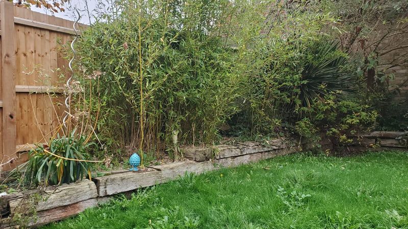 Property Line Setbacks Are Legally Required