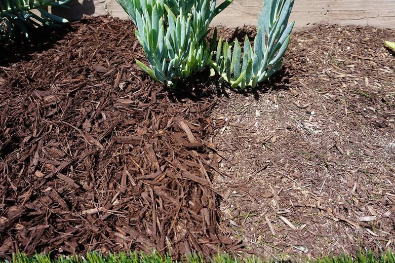 Protect Bare Soil With A Stable Organic Cover