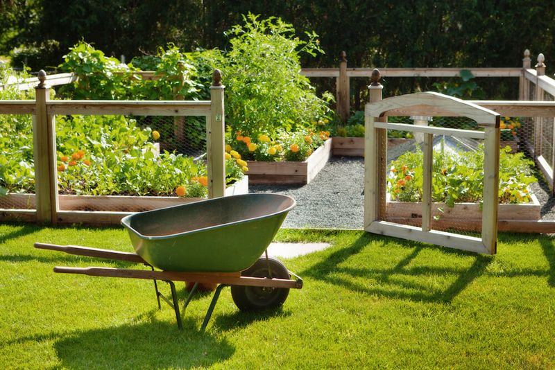 Protect Beds Before The Habit Sets In Protect Beds Before The Habit Sets In