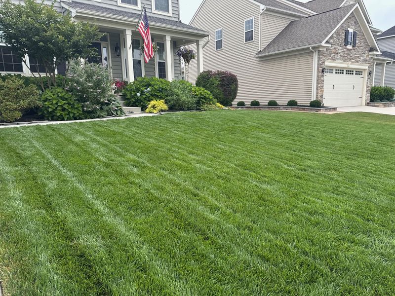 Protect Turf Before Fall Problems Appear Protect Turf Before Fall Problems Appear