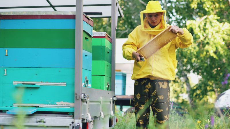 Protecting Pets, Gardens, And Beehives From Drift Protecting Pets, Gardens, And Beehives From Drift