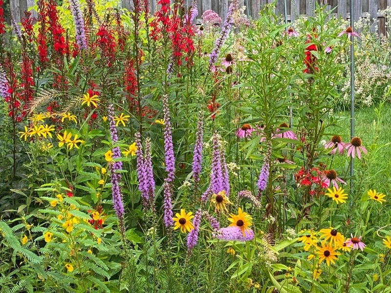 Protecting Small Patches Keeps The Whole Landscape Alive Protecting Small Patches Keeps The Whole Landscape Alive