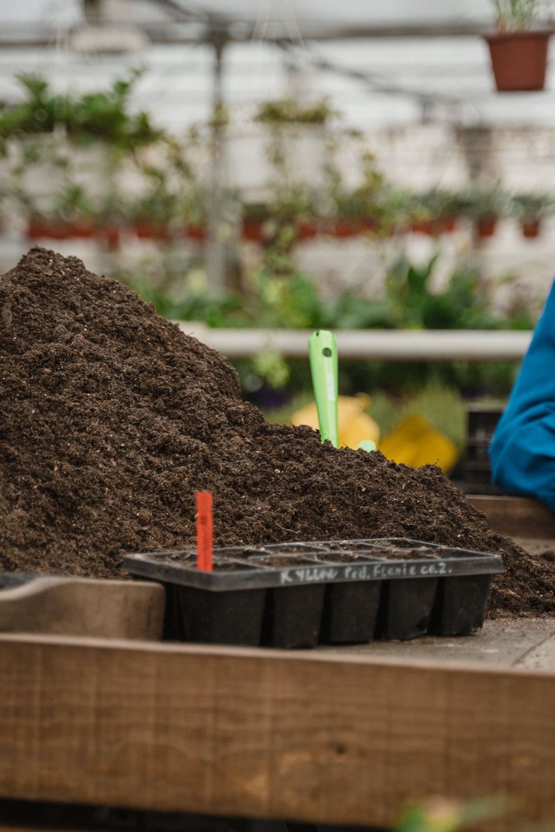 Protecting The Rest Of Your Garden Going Forward