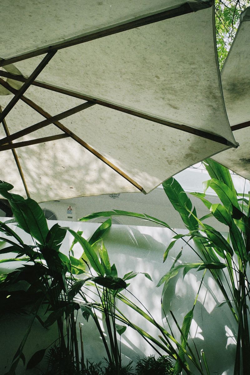 Provide Temporary Shade Using Cloth Or Umbrellas