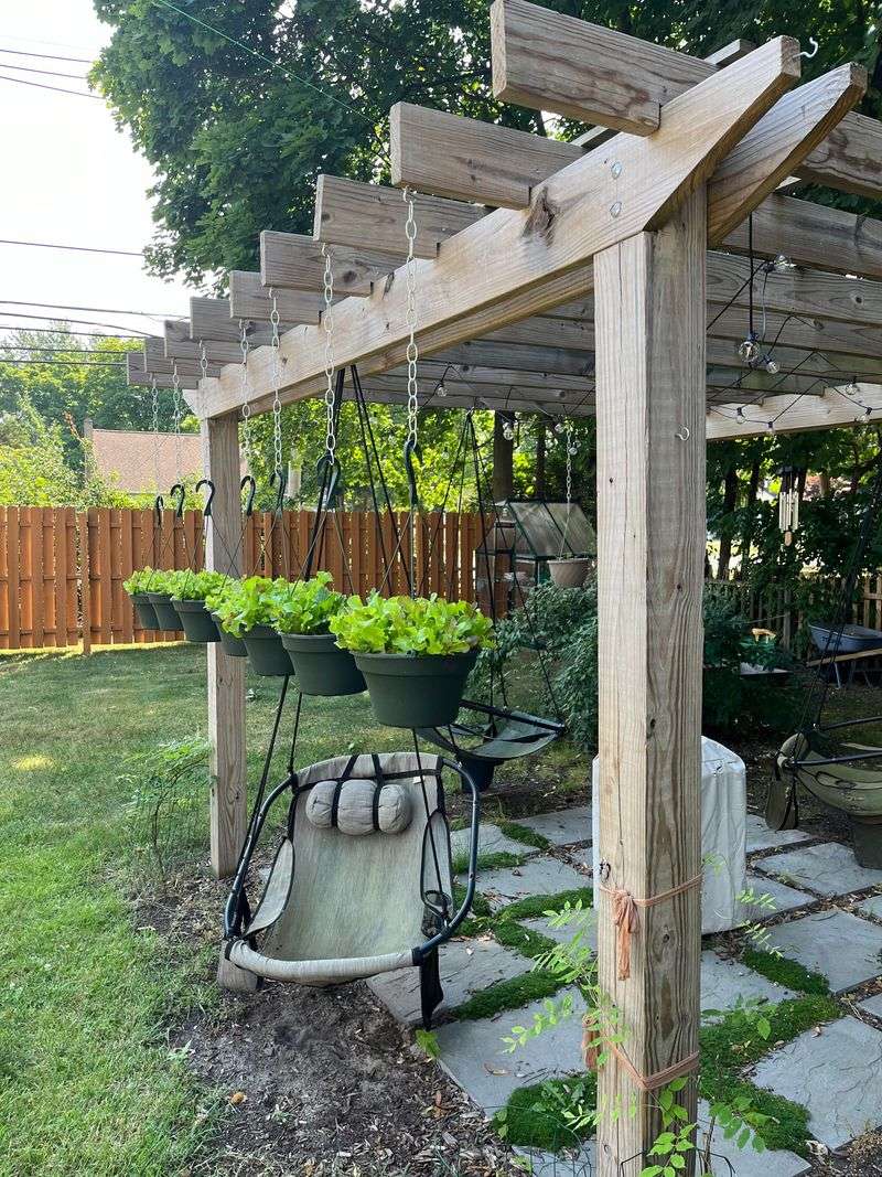 Pull Lettuce Into Bright Shade Pull Lettuce Into Bright Shade