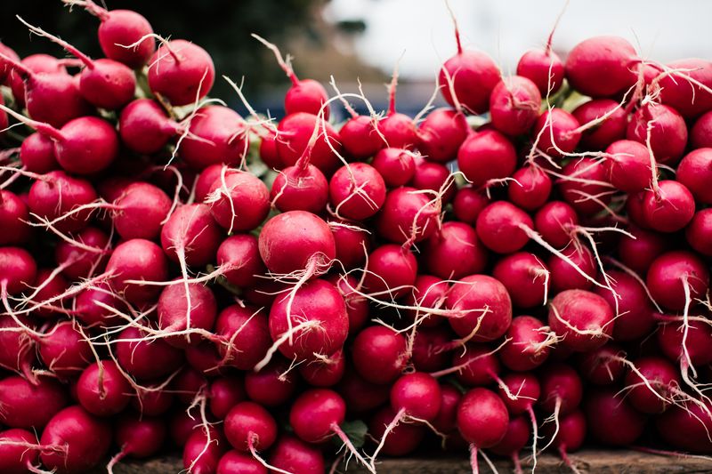 Radishes Radishes