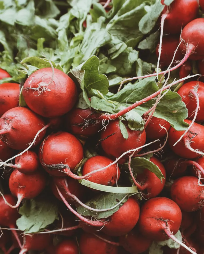 Radishes Radishes