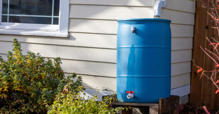 Rain Barrel Systems Supporting Connecticut Gardens Through Water Restrictions