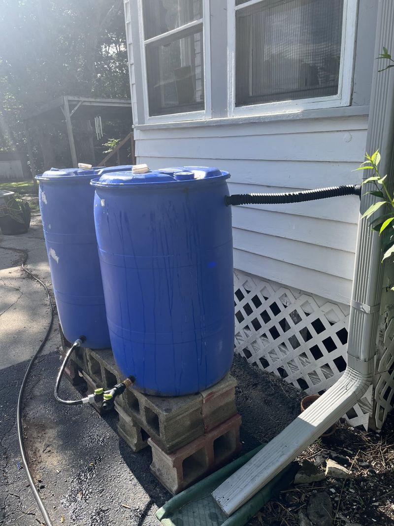 Rain Basins Help Yards Capture Every Drop
