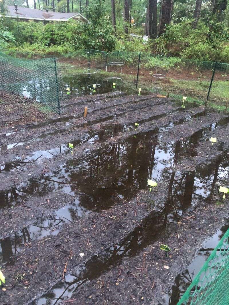 Rain Can Reveal a Wet-Dry Contrast