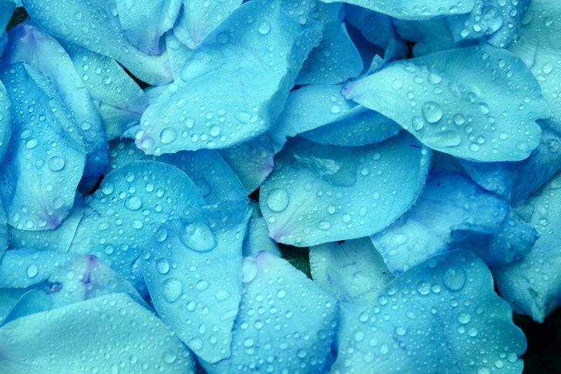 Rain Washing Away Your Amendments Rain Washing Away Your Amendments