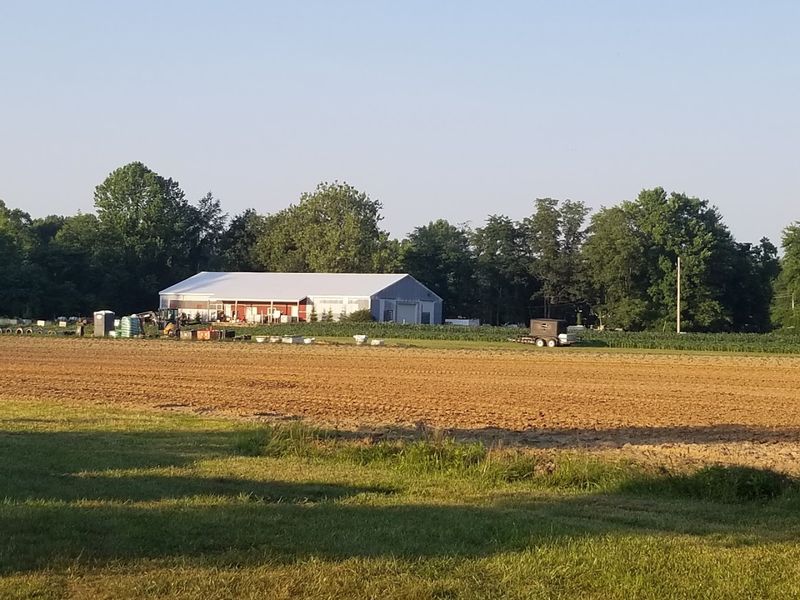 Rainbow Farms Belongs On The Late List
