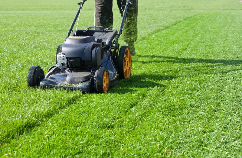 Raise The Mowing Height In August Raise The Mowing Height In August