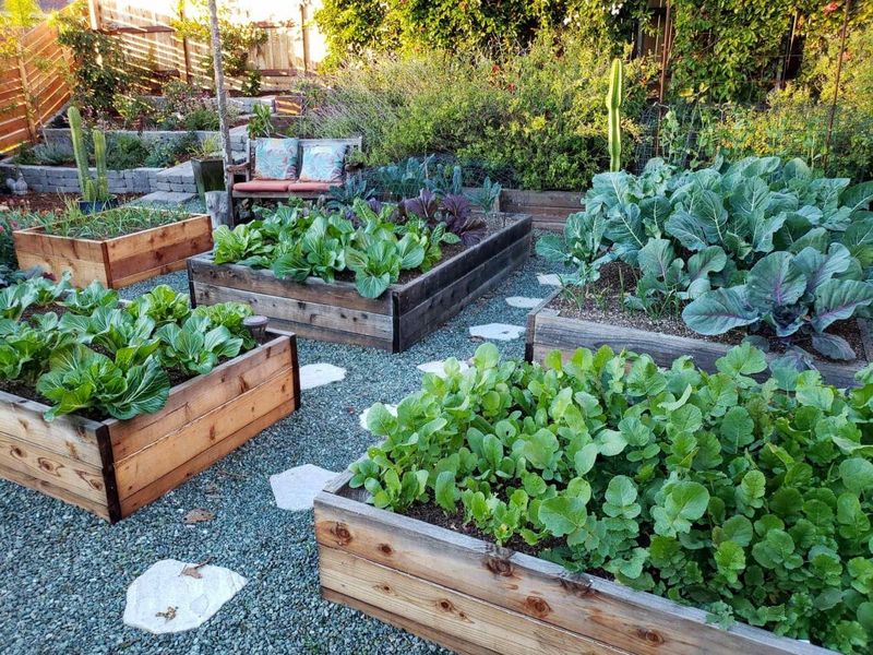 Raised Beds Drain Faster Than In-Ground Beds Raised Beds Drain Faster Than In-Ground Beds