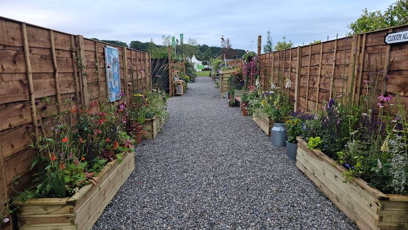 Raised Beds Solve Many Problems