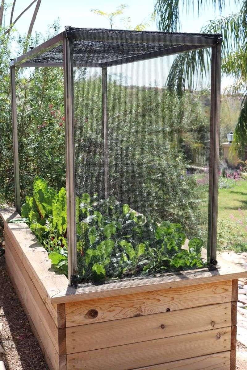 Raised Shade Cloth Keeps Plants Cooler Raised Shade Cloth Keeps Plants Cooler