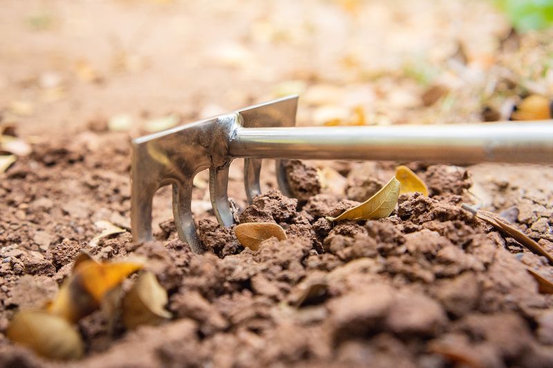 Rake Soil For Better Seed Contact Rake Soil For Better Seed Contact