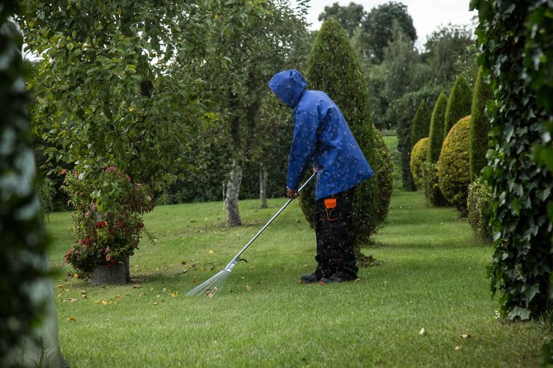 Raking And Removing Leaf Litter Promptly Raking And Removing Leaf Litter Promptly