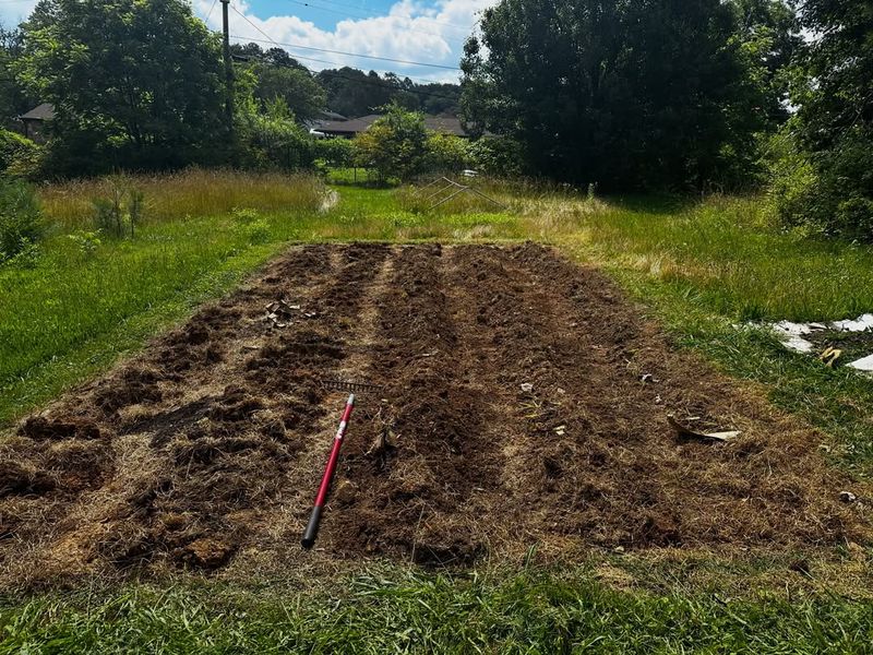 Recent Tilling May Have Disturbed The Soil Community