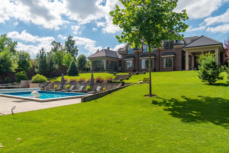Recovering A Lawn After Scalping