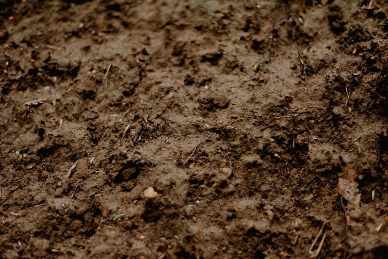 Recovery Time For Clay Soil After Heavy Compaction Recovery Time For Clay Soil After Heavy Compaction