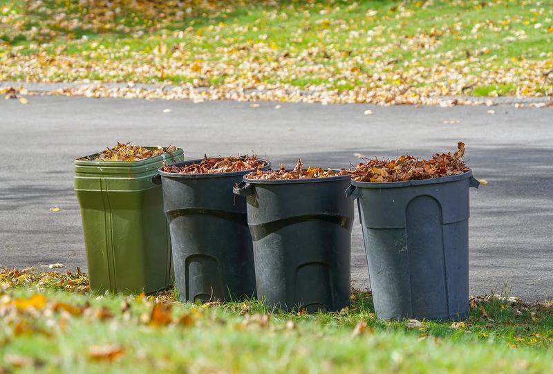 Recycle Yard Waste In Place Recycle Yard Waste In Place