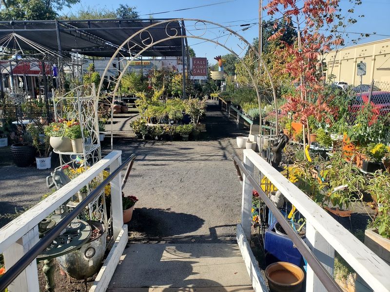 Red Hen Therapeutic Plant Nursery — Chico Red Hen Therapeutic Plant Nursery — Chico