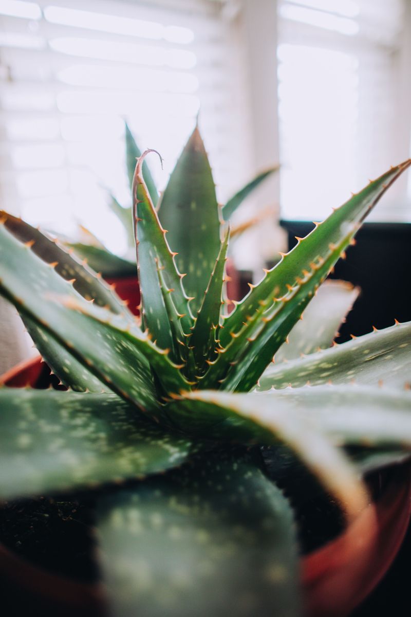 Reduce Frequency In Cooler Months