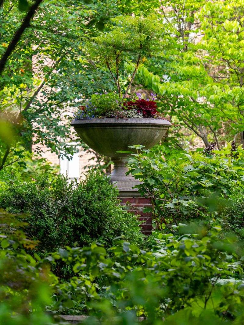 Reducing Ragweed Before It Takes Over Your Yard Reducing Ragweed Before It Takes Over Your Yard