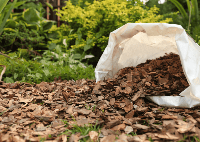 Refresh Mulch Around The Plant Refresh Mulch Around The Plant