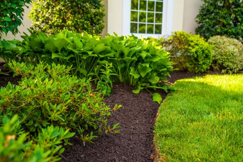Refresh Mulch Without Smothering Plant Stems