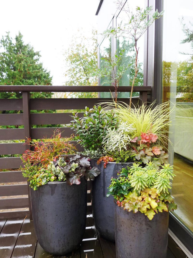 Refresh Tired Pots Before They Crash Refresh Tired Pots Before They Crash