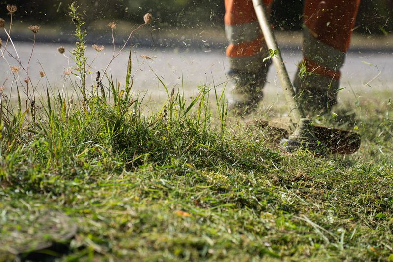 Regular Cuts Stop Weeds Spreading