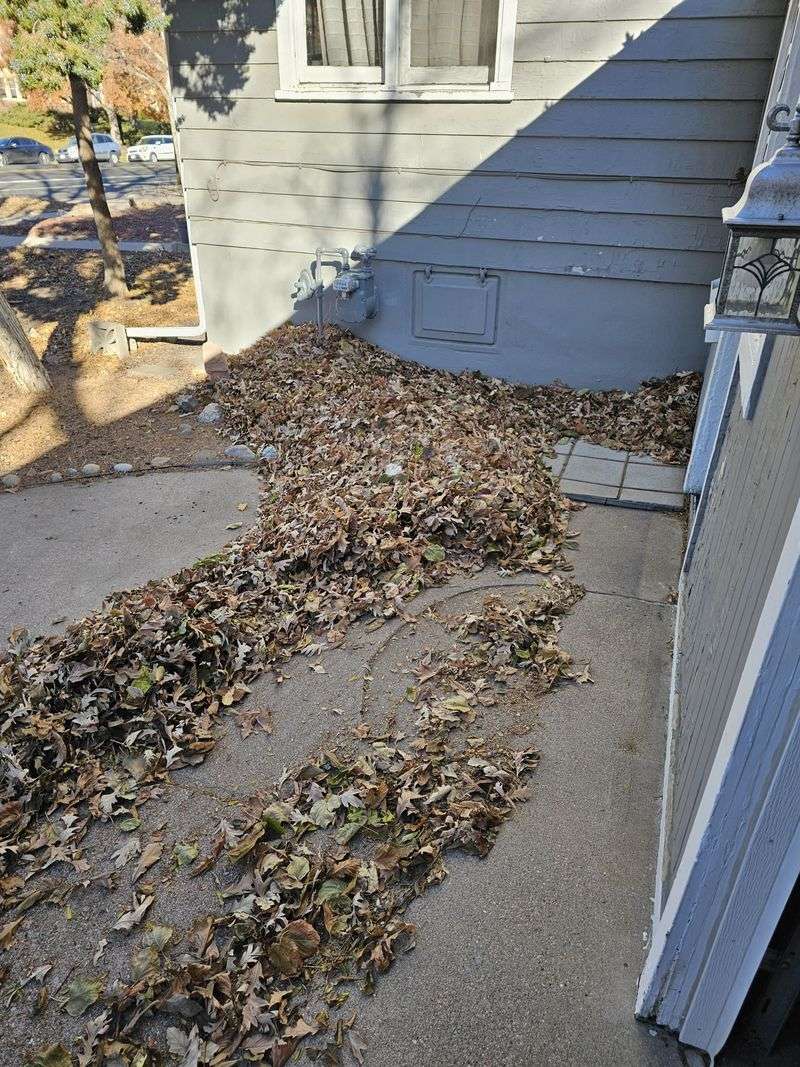 Remove Fire Fuel Near The House Remove Fire Fuel Near The House