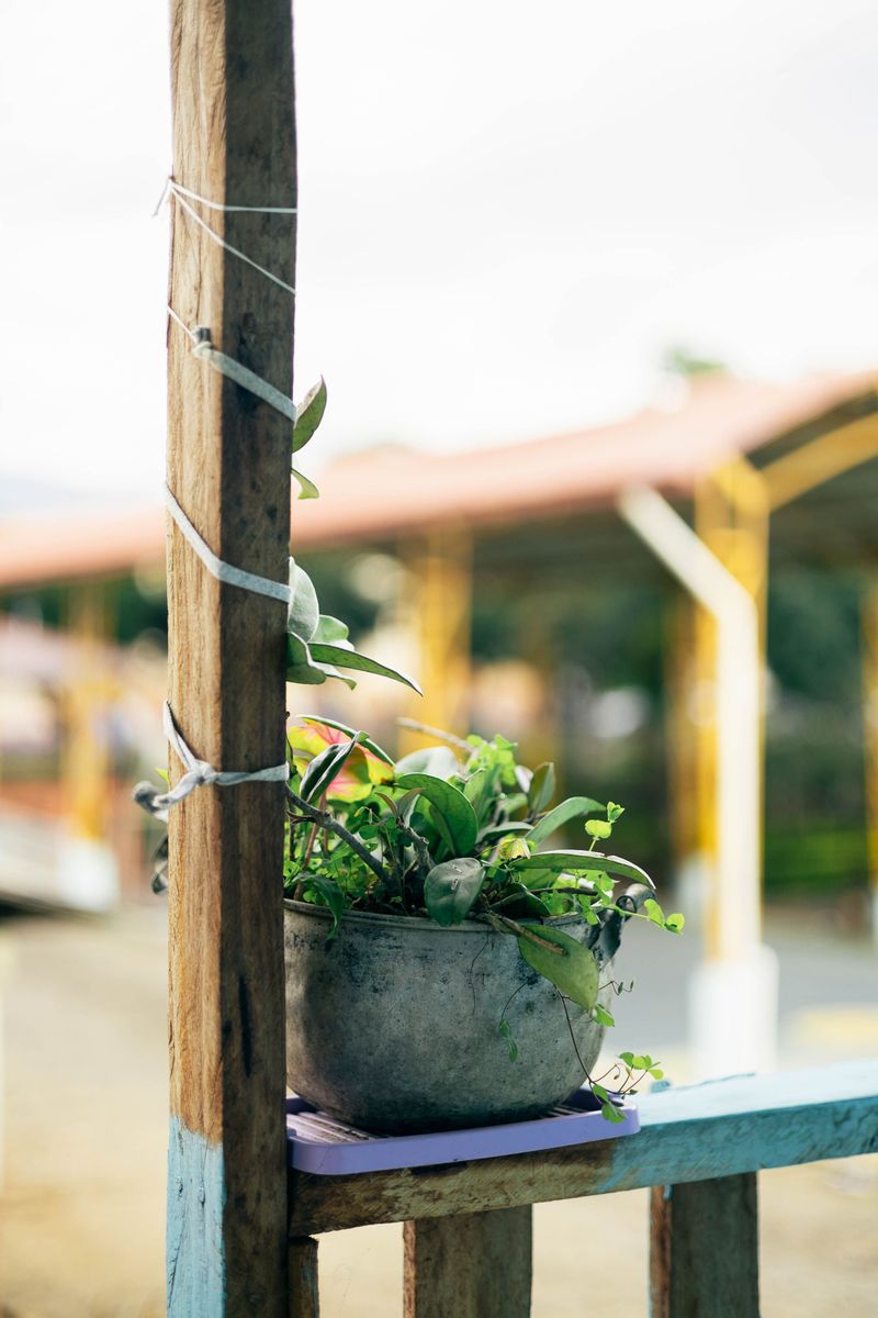 Remove Or Tie Down Loose Outdoor Items Like Pots And Decorations