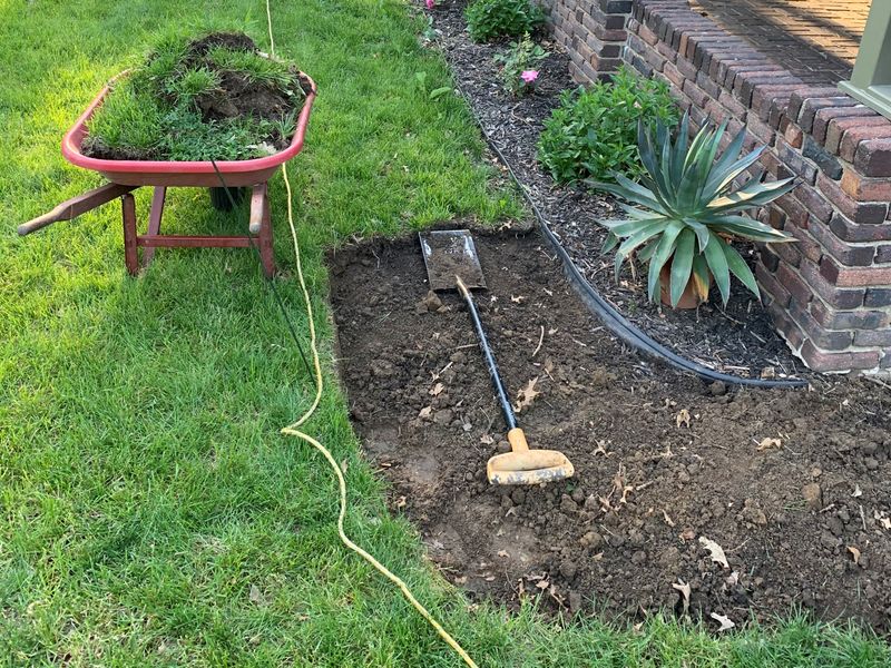 Remove Persistent Weeds Before You Plant