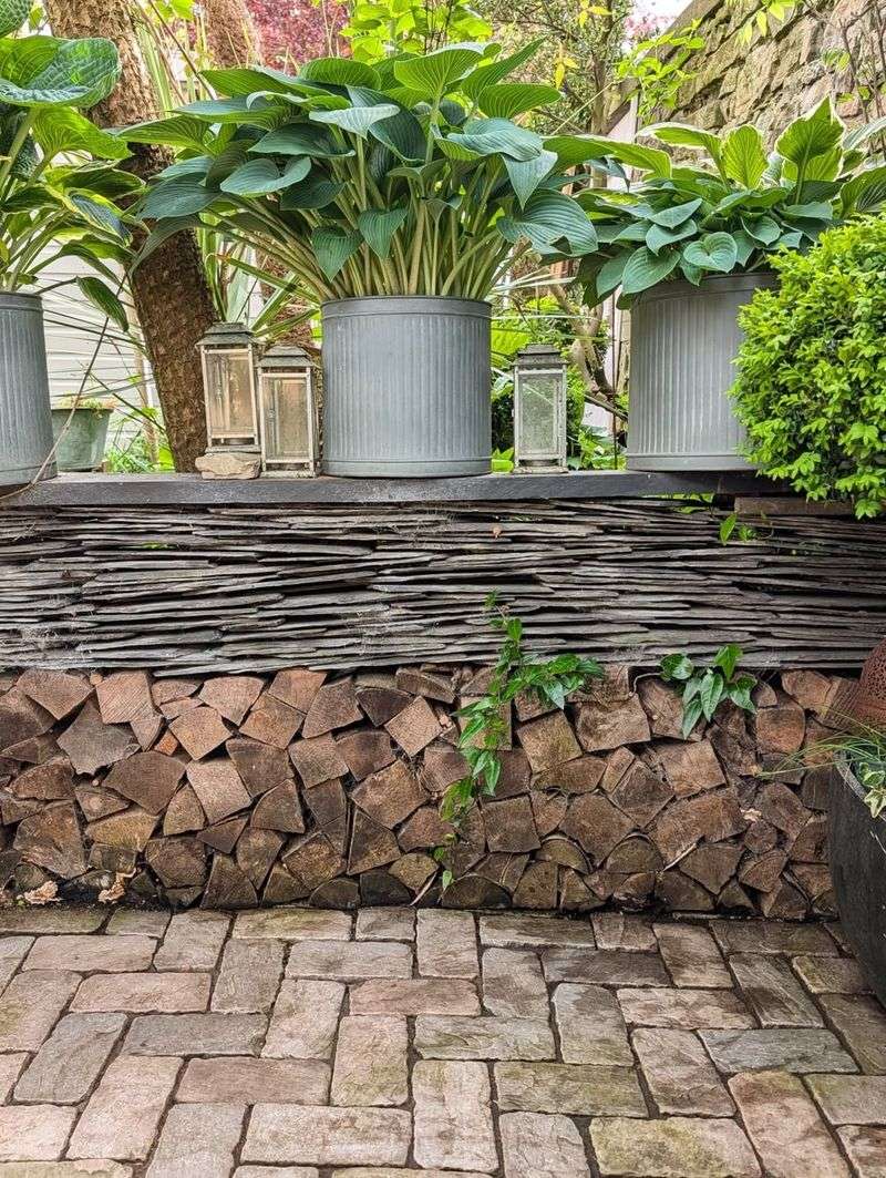 Remove Wood Piles And Yard Debris Remove Wood Piles And Yard Debris
