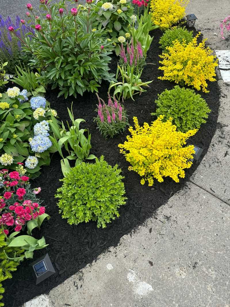 Repeat Plants So Shade Beds Feel Designed