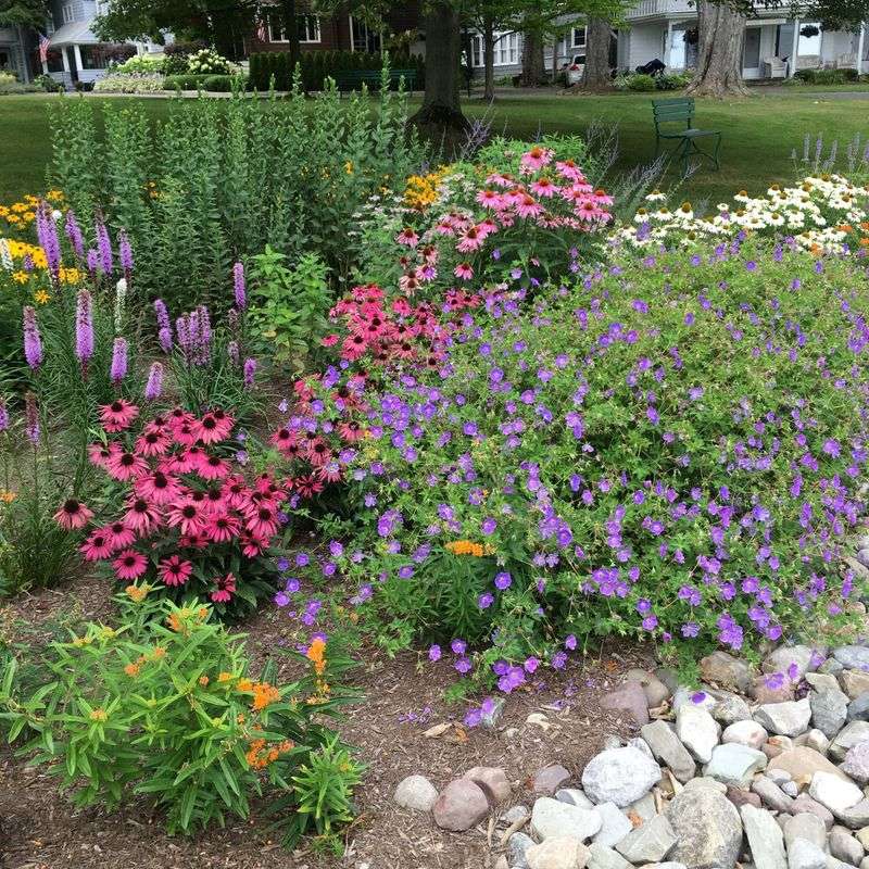 Replace Wet Trouble Spots With Thirstier Plants