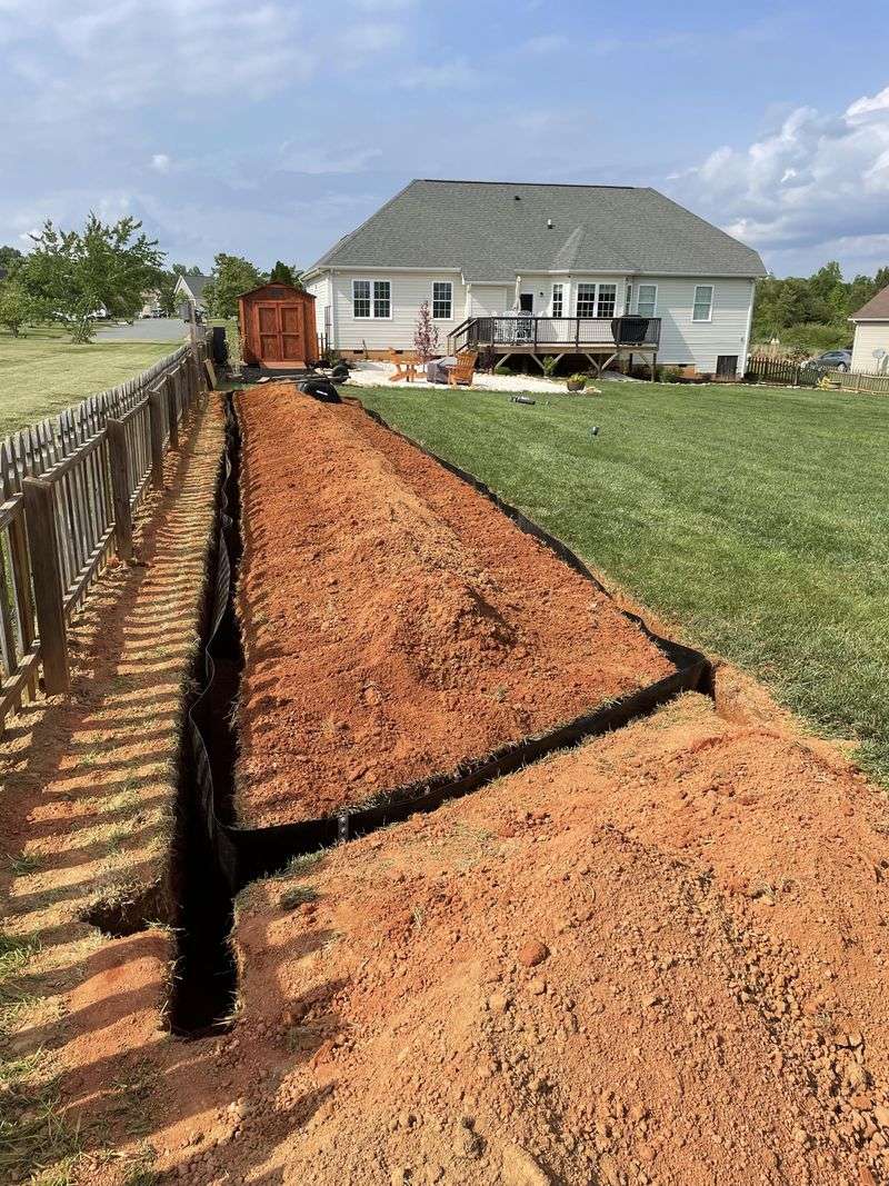 Rhizome Barriers Prevent Unwanted Spread