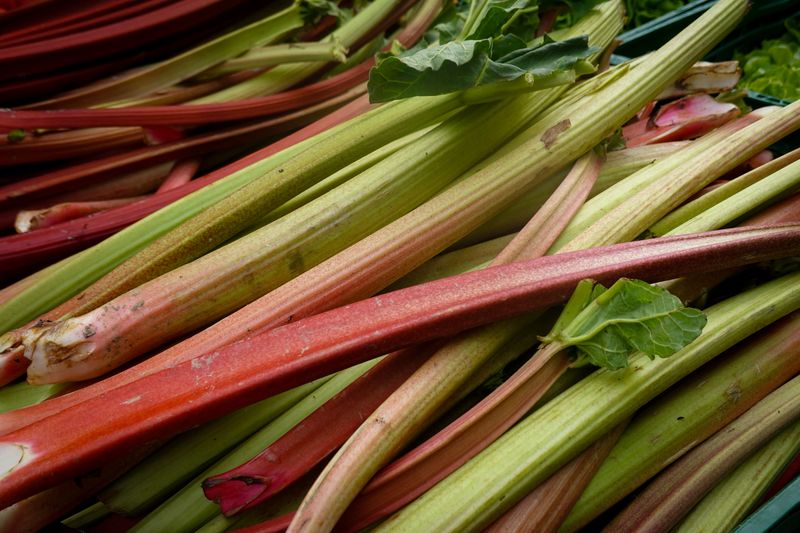 Rhubarb Rhubarb