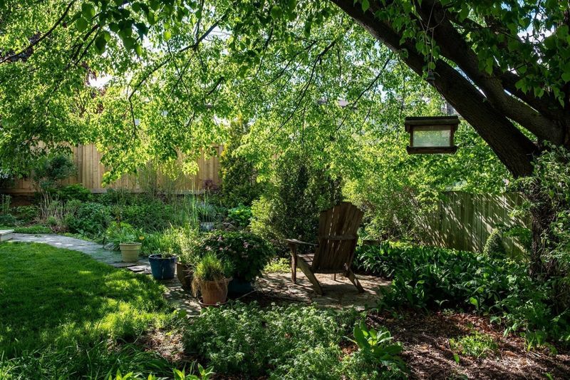 Right Tree Right Place Keeps Cooling Practical Right Tree Right Place Keeps Cooling Practical