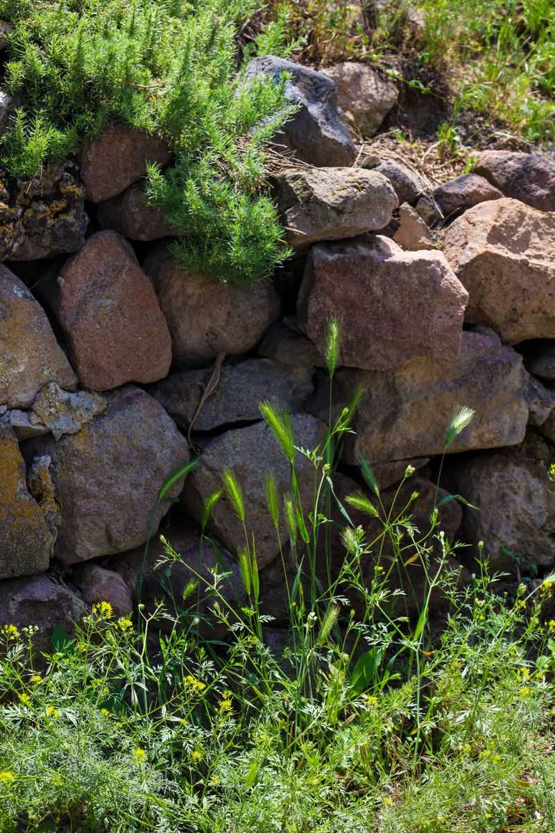 Rock Piles And Garden Retaining Walls