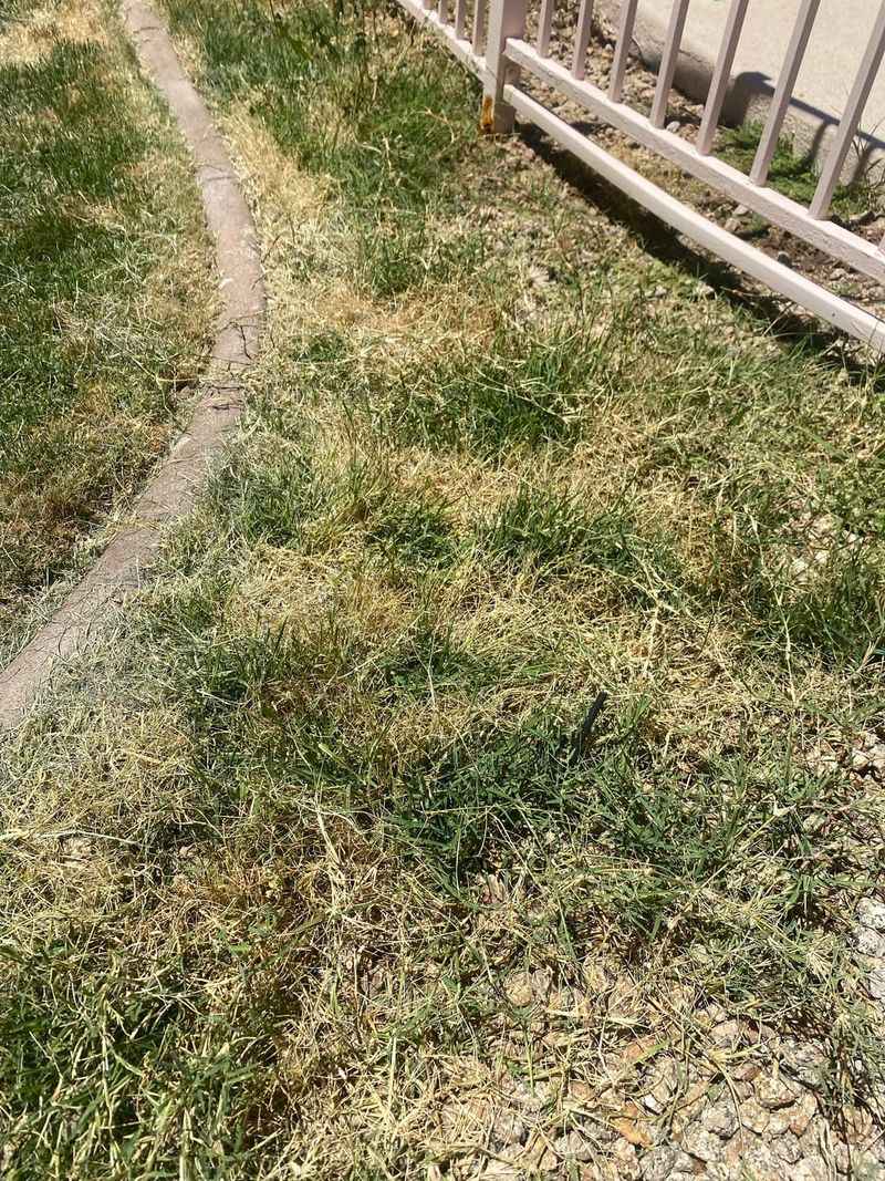 Rocks And Hidden Metal Make Mowing Riskier